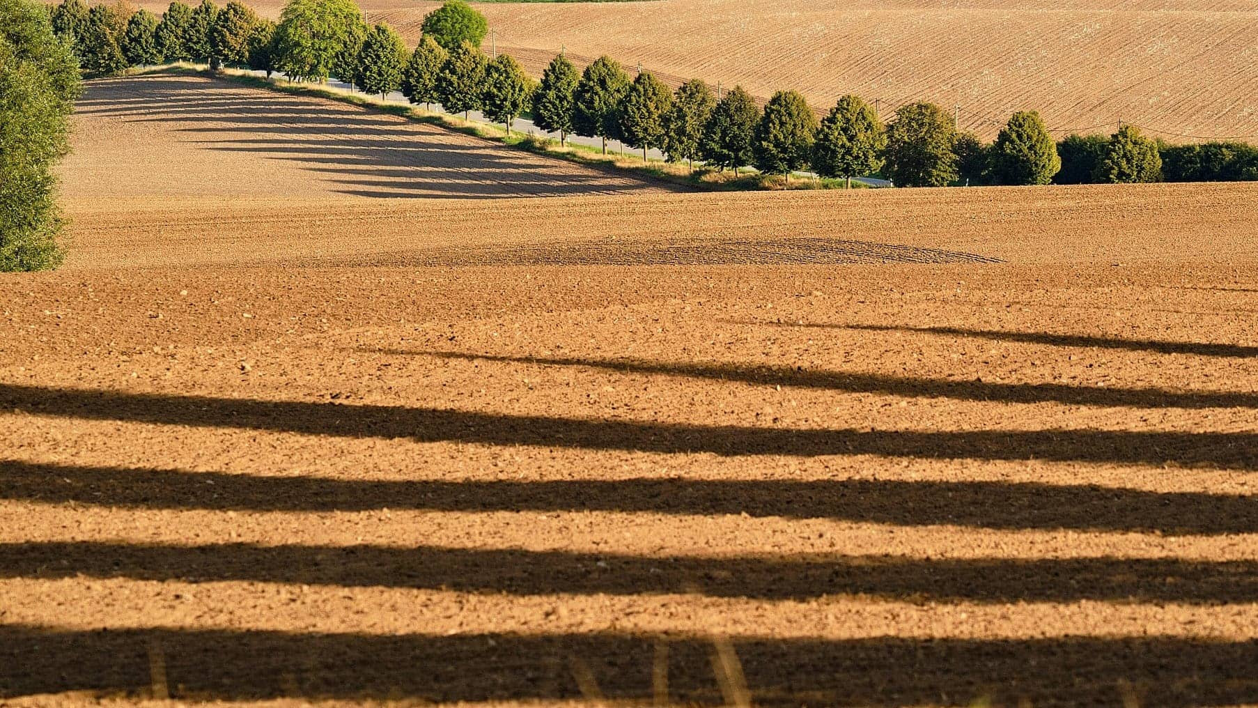 die Welt ©Image by Anna Sander