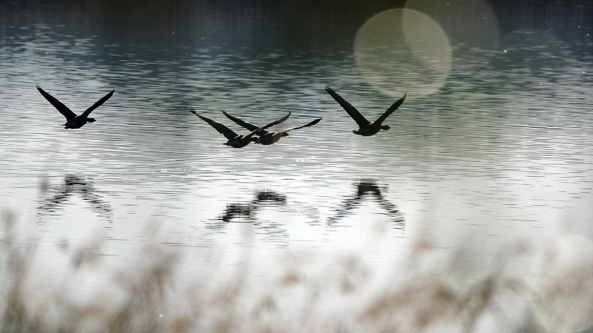Schellbruch ©Image by Anna Sander