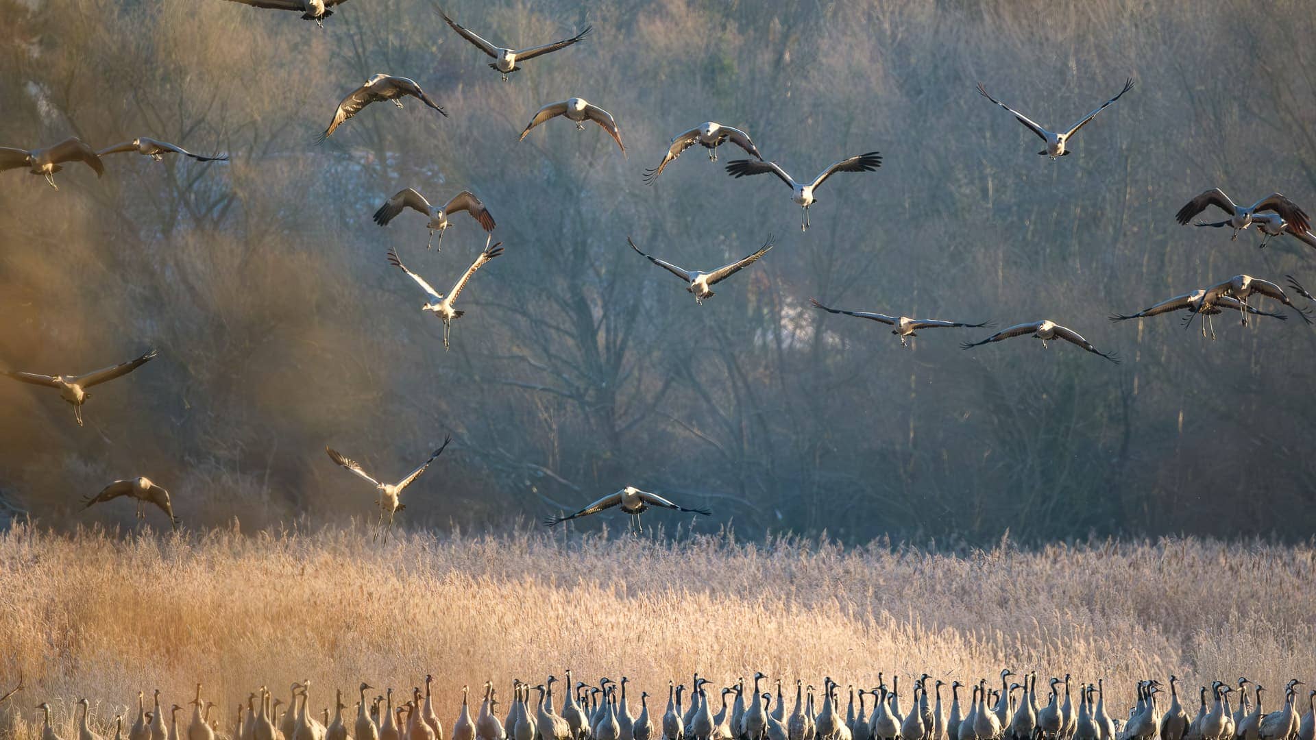 Schellbruch ©Image by Anna Sander