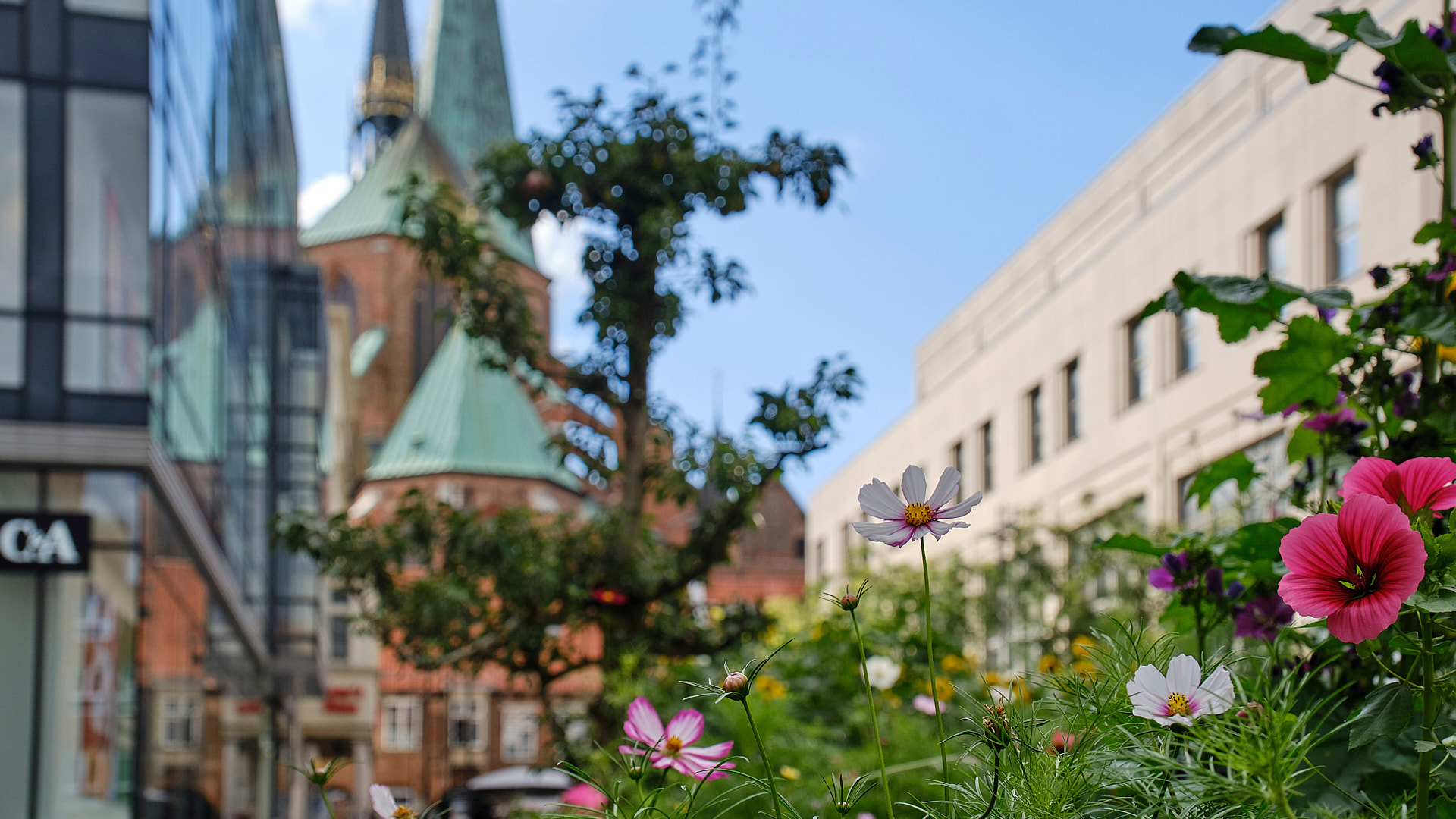 Mobirise Website Builder